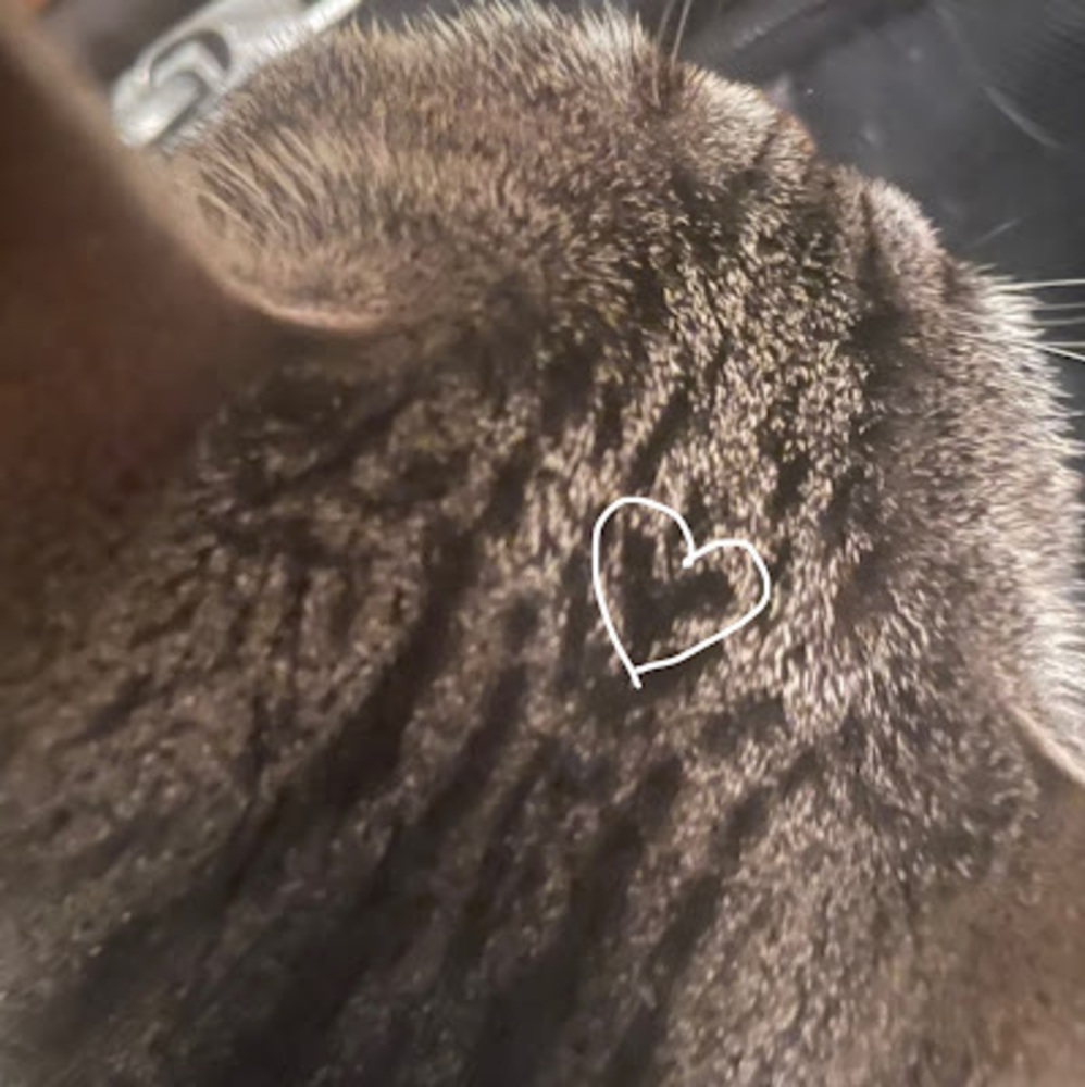 Meet your Posher, Jana